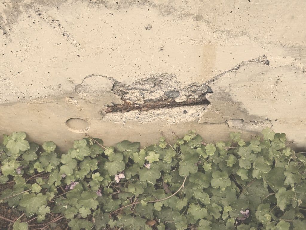 戸建修繕