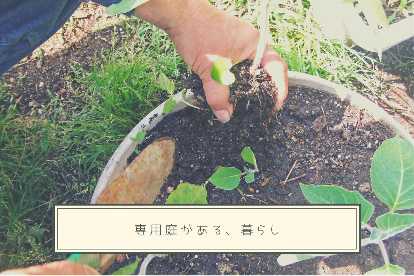 専用庭
