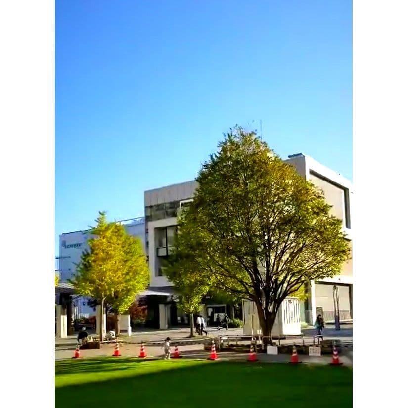 近隣施設