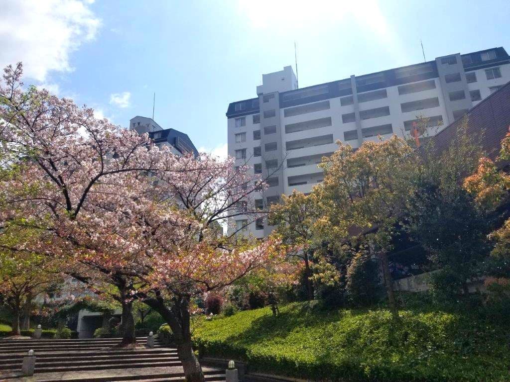 ビュープラザセンター北