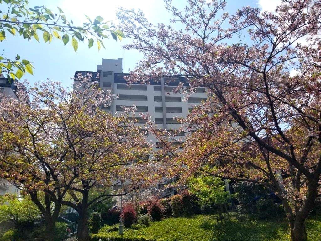 ビュープラザセンター北